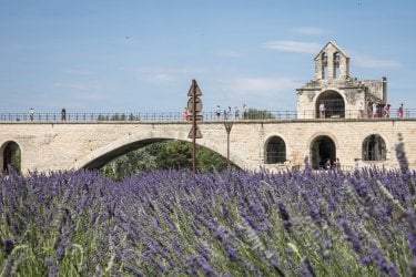 Que faire à Avignon ? Les 13 incontournables