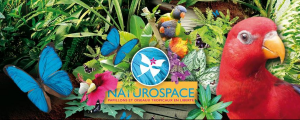 NATUROSPACE HONFLEUR